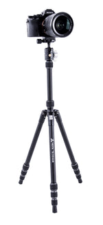 Vesta TB 204AB Aluminum Tripod with T-46 Ball Head